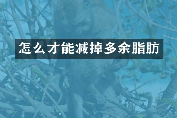 怎么才能减掉多余脂肪