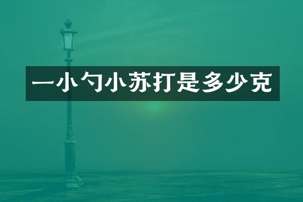 一小勺小苏打是多少克