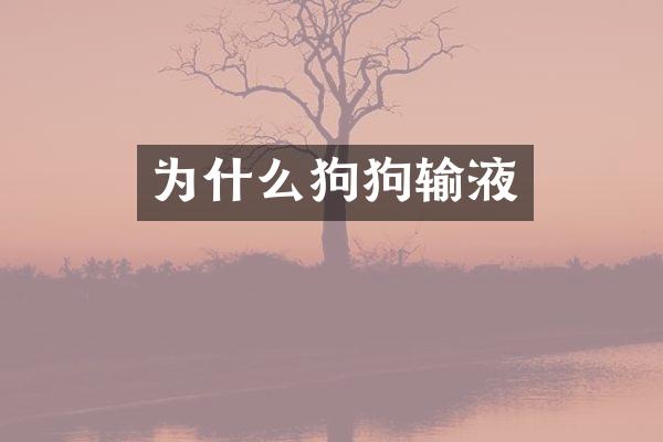 为什么狗狗输液