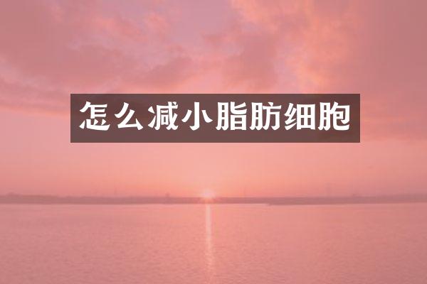 怎么减小脂肪细胞