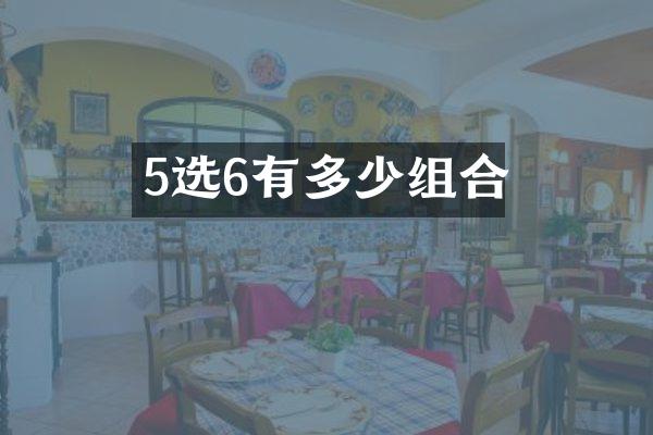 5选6有多少组合