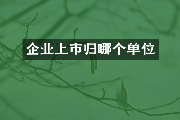 企业上市归哪个单位