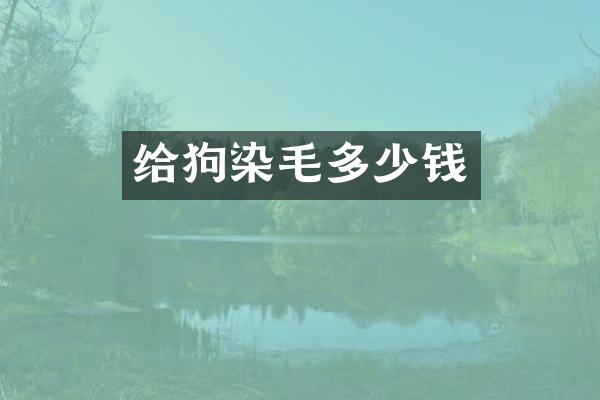 给狗染毛多少钱