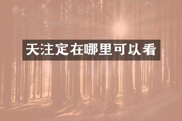 天注定在哪里可以看