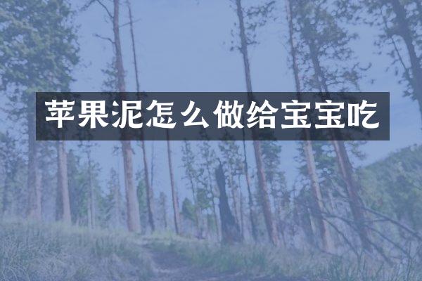 苹果泥怎么做给宝宝吃