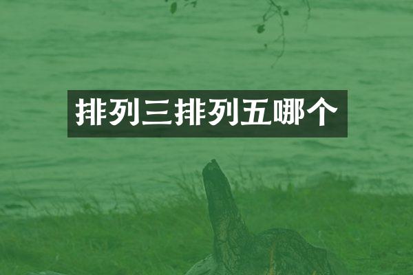 排列三排列五哪个