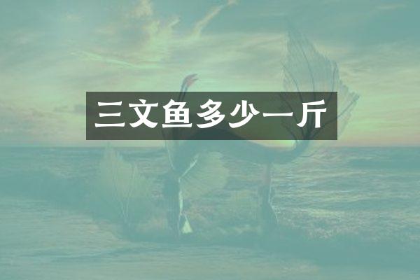 三文鱼多少一斤