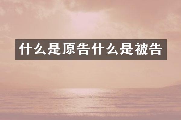 什么是原告什么是被告