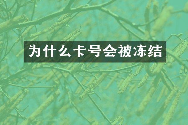 为什么卡号会被冻结