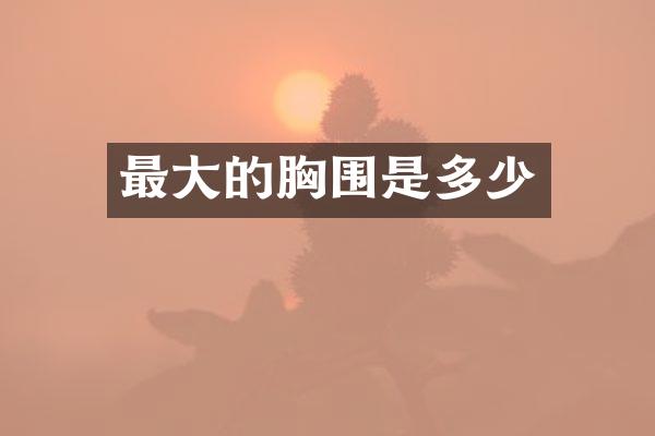 最大的胸围是多少