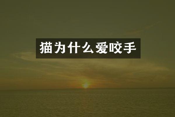 猫为什么爱咬手