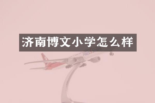 济南博文小学怎么样