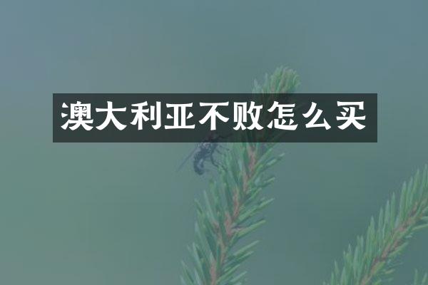 澳大利亚不败怎么买