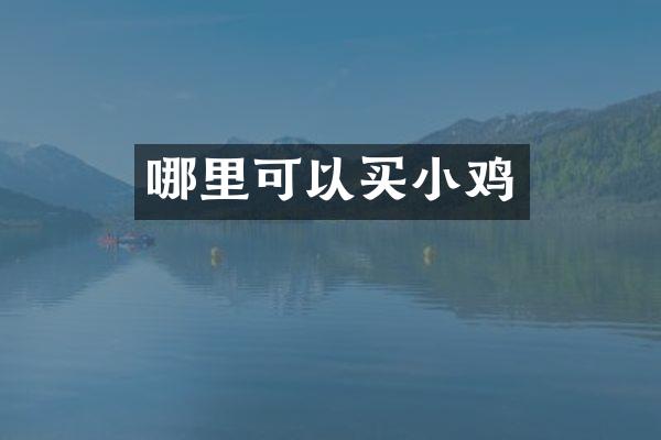哪里可以买小鸡
