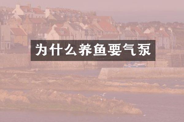 为什么养鱼要气泵