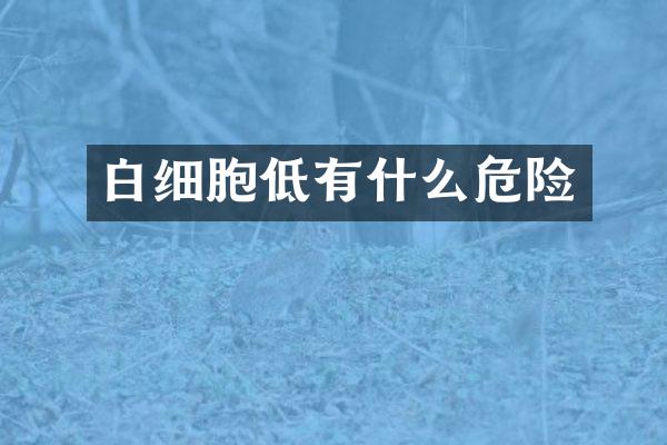 白细胞低有什么危险