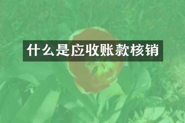 什么是应收账款核销