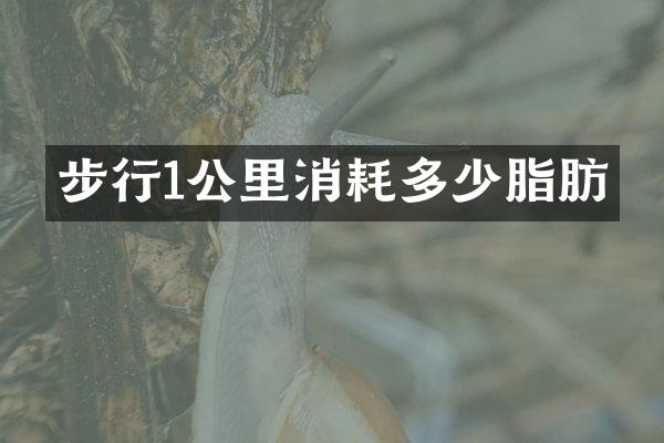 步行1公里消耗多少脂肪