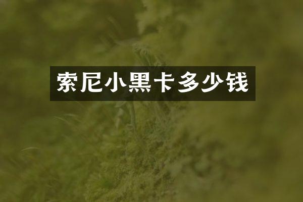 索尼小黑卡多少钱