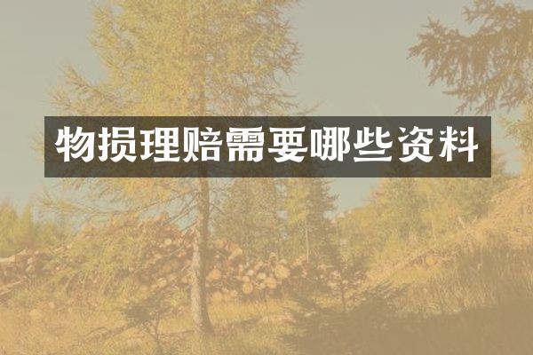 物损理赔需要哪些资料