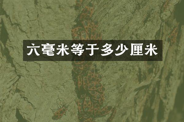 六毫米等于多少厘米