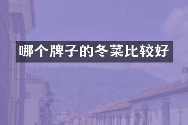 哪个牌子的冬菜比较好