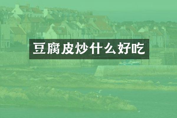 豆腐皮炒什么好吃