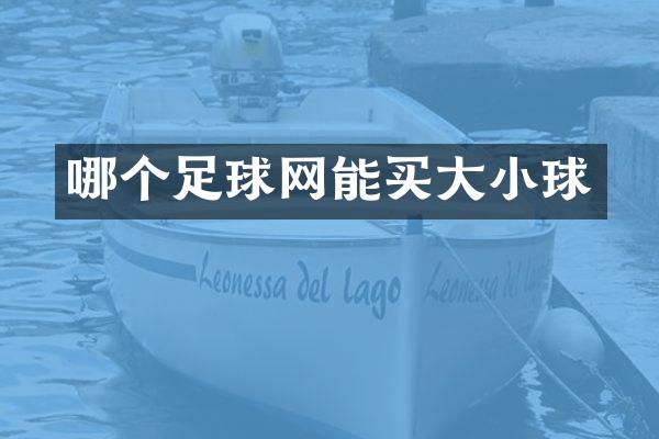 哪个足球网能买大小球