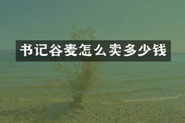 书记谷麦怎么卖多少钱