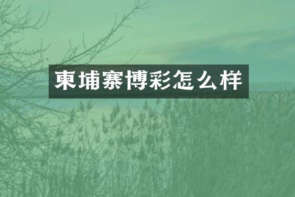 柬埔寨怎么样