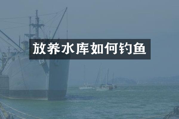 放养水库如何钓鱼