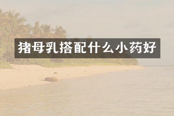 猪母乳搭小药好