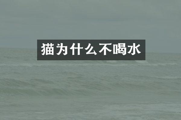 猫为什么不喝水