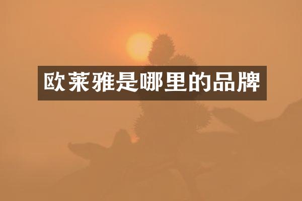 欧莱雅是哪里的品牌