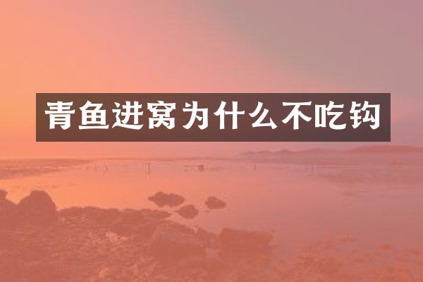 青鱼进窝为什么不吃钩