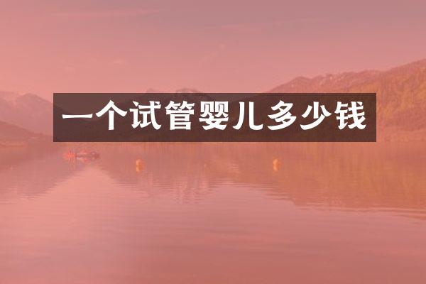 一个试管婴儿多少钱