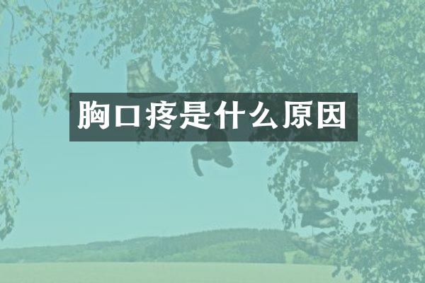 胸口疼是什么原因