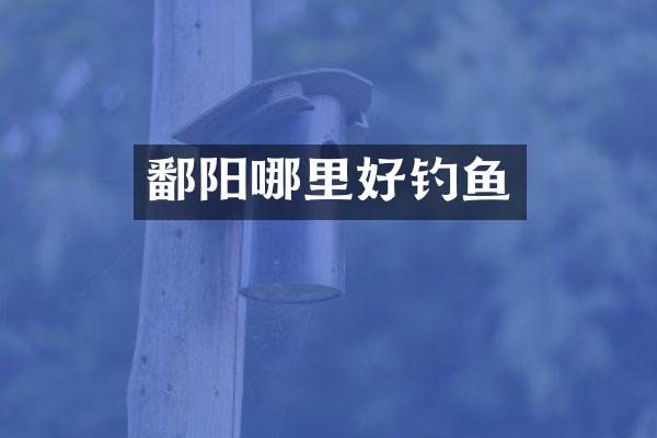 鄱阳哪里好钓鱼
