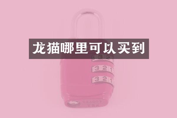 龙猫哪里可以买到