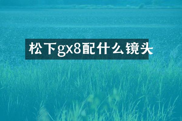 松下gx8配什么镜头