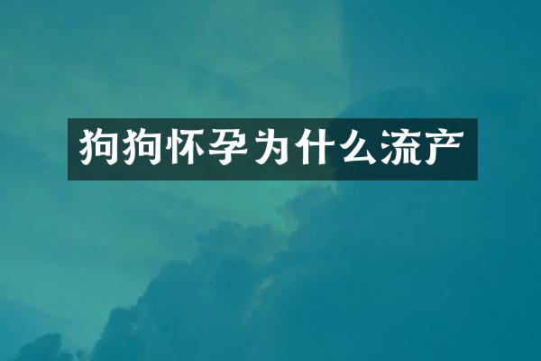 狗狗怀孕为什么流产