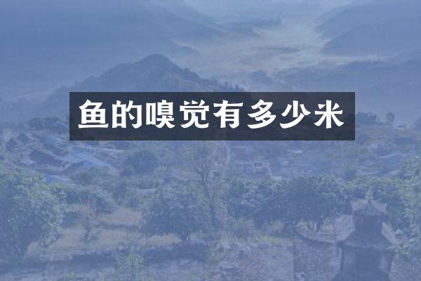 鱼的嗅觉有多少米