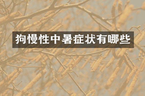 狗慢性中暑症状有哪些