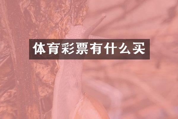 体育彩票有什么买