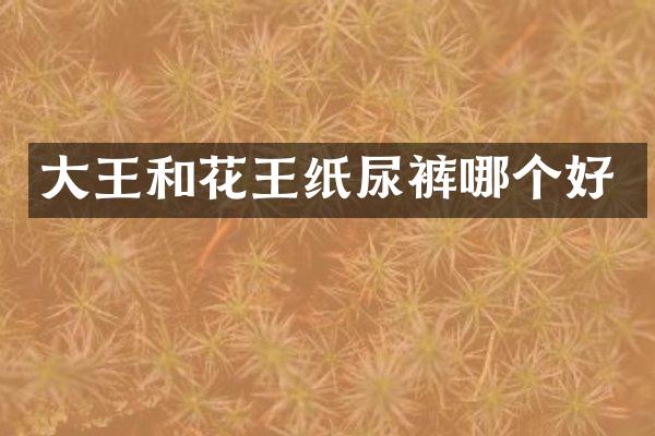 大王和花王纸尿裤哪个好