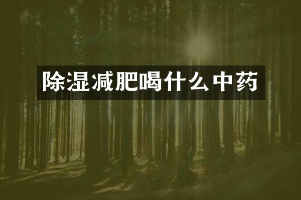 除湿减肥喝什么中药