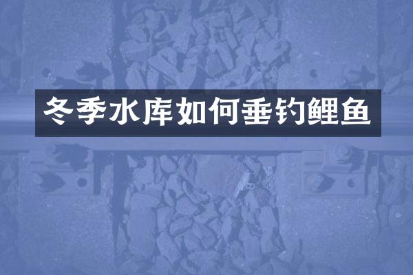 冬季水库如何垂钓鲤鱼