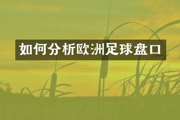 如何分析欧洲足球盘口