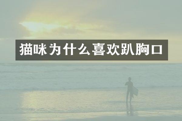 猫咪为什么喜欢趴胸口