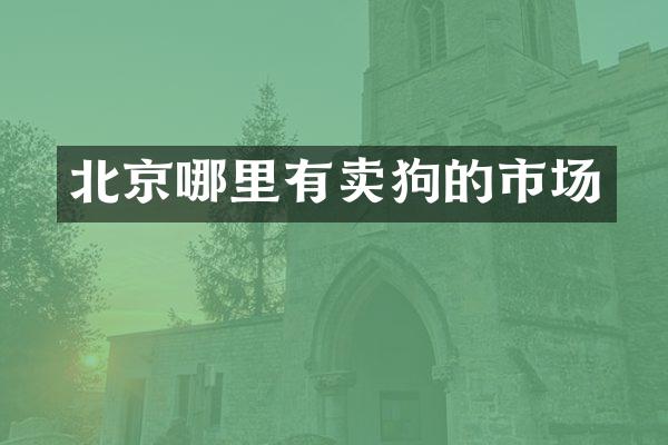 北京哪里有卖狗的市场